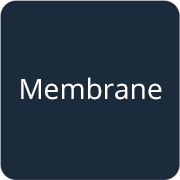 Membrane Filters